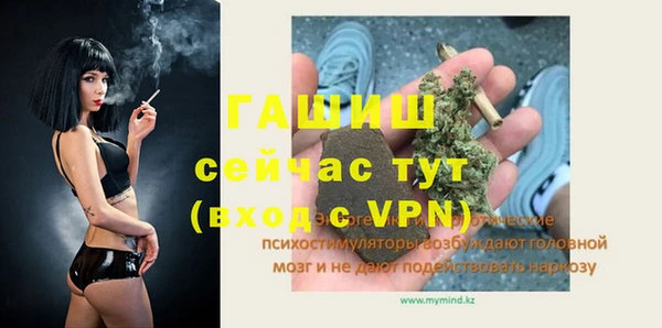 стафф Алзамай