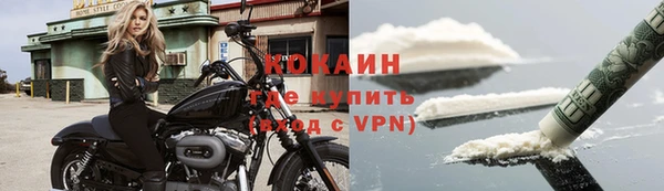 стафф Алзамай