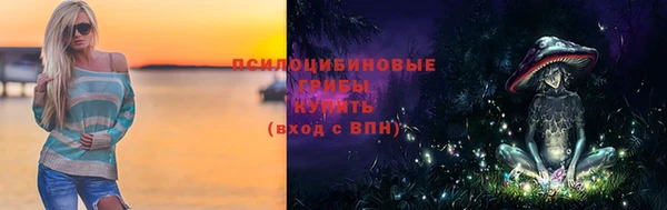 стафф Алзамай