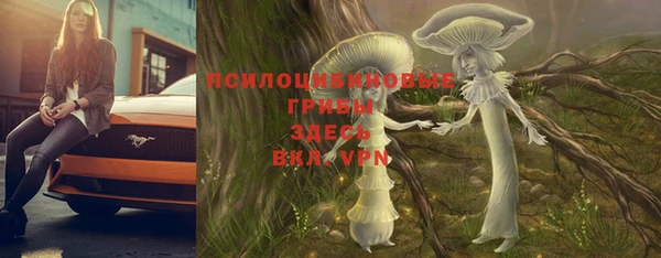 стафф Алзамай