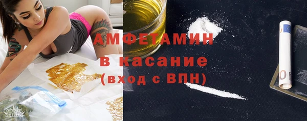 стафф Алзамай