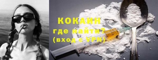 стафф Алзамай